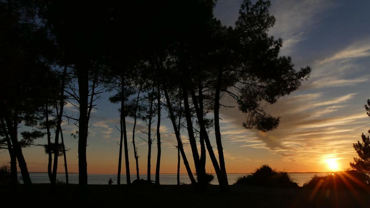 Bleuvelours Bed and Breakfast Andernos-les-Bains Εξωτερικό φωτογραφία